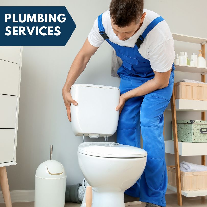 Plumbing Company in Mount Judea, AR